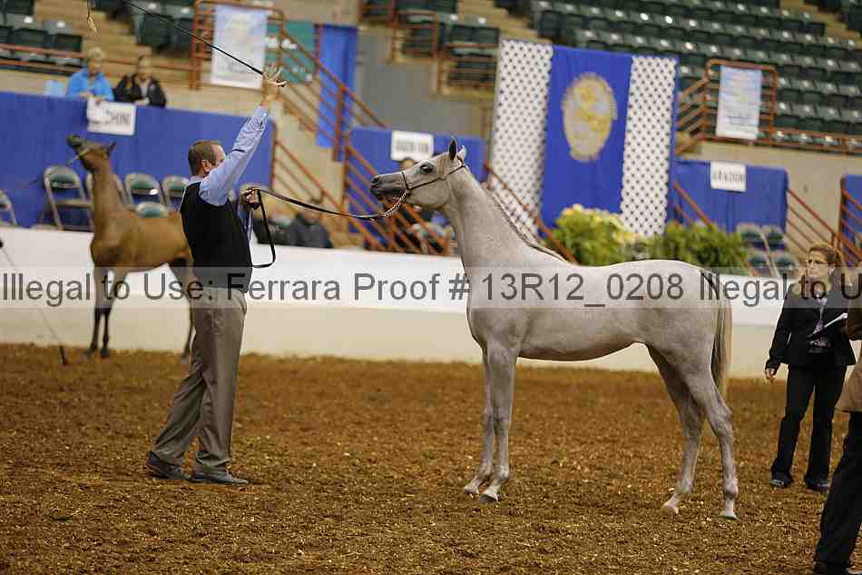 Proof Number 13r12_0208