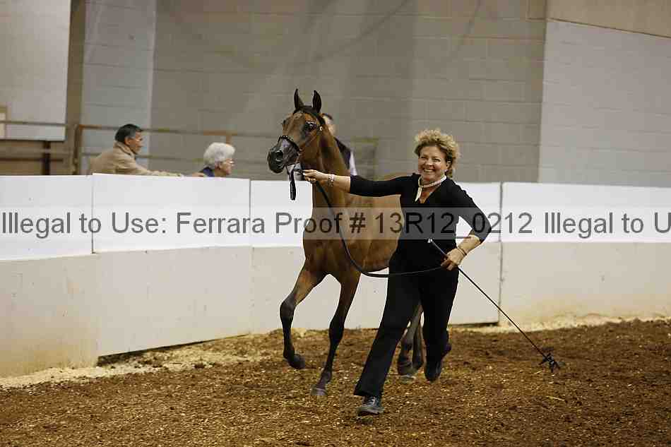 Proof Number 13r12_0212