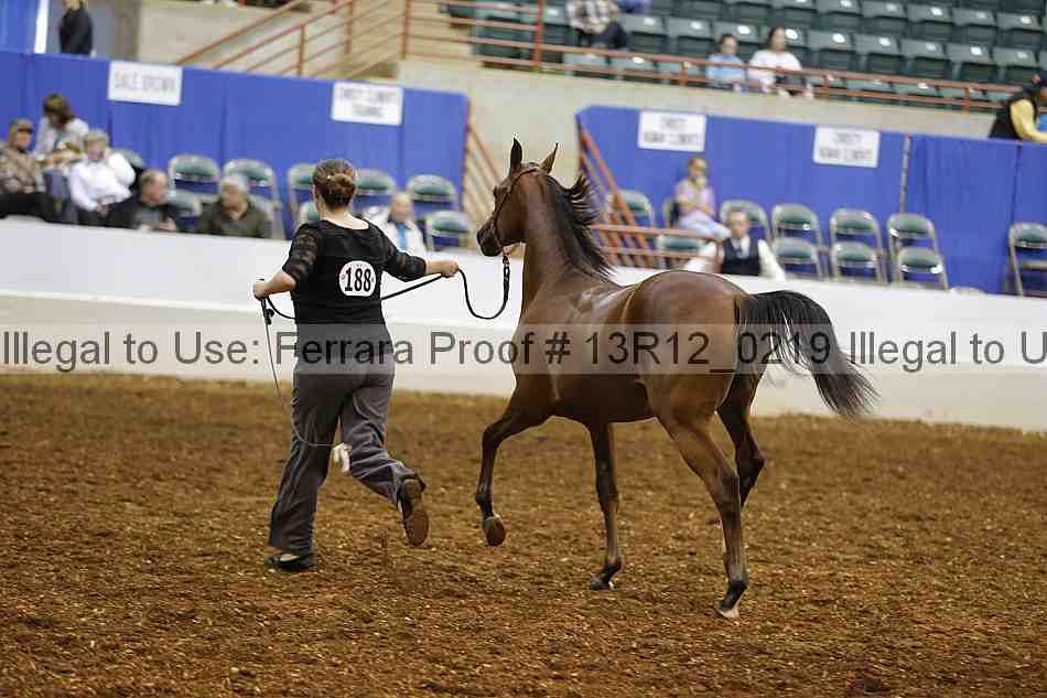 Proof Number 13r12_0219