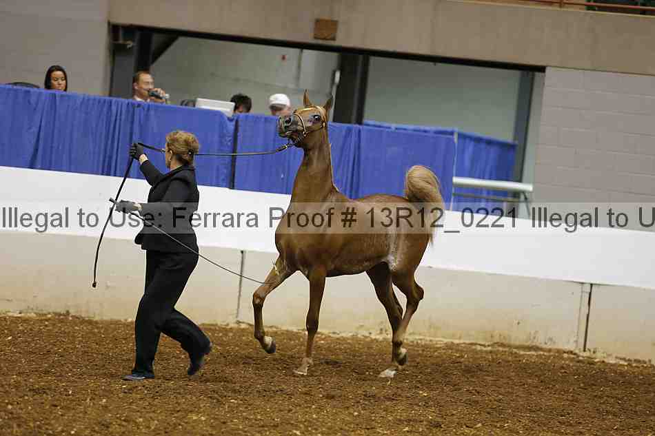 Proof Number 13r12_0221