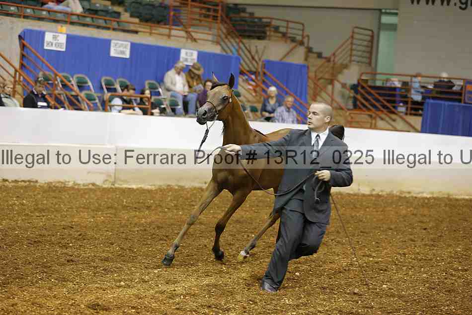 Proof Number 13r12_0225