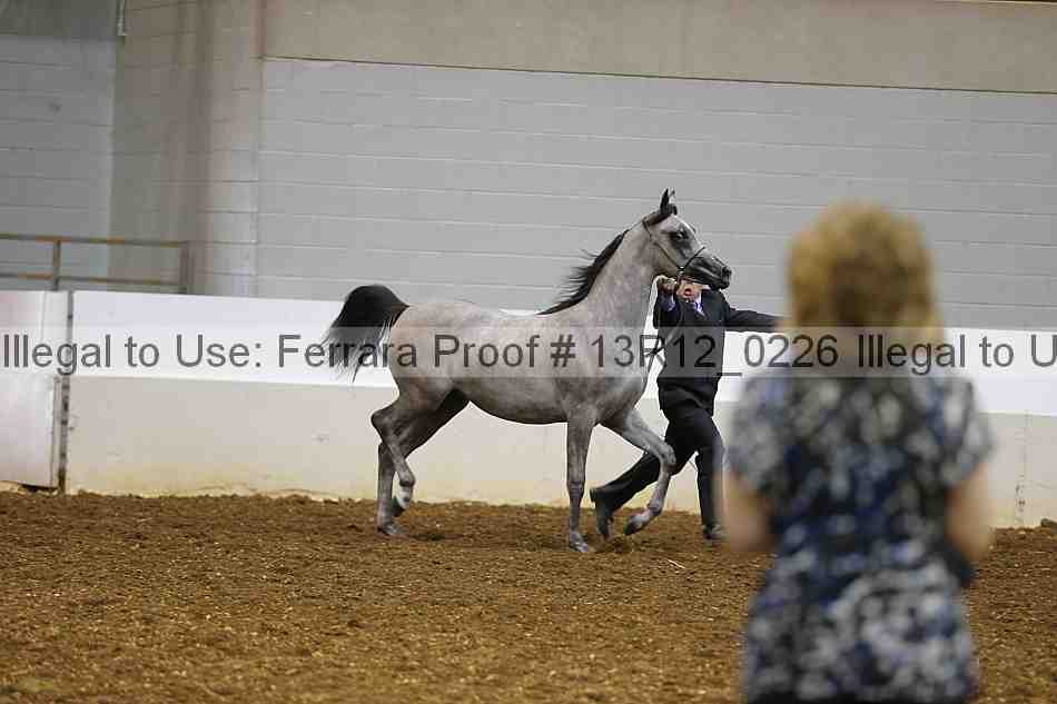 Proof Number 13r12_0226