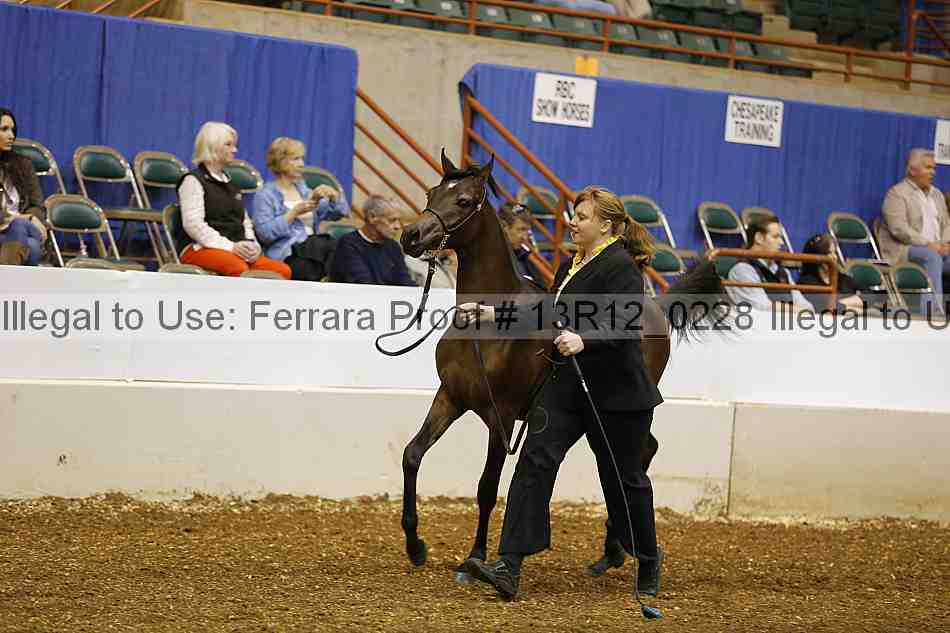 Proof Number 13r12_0228