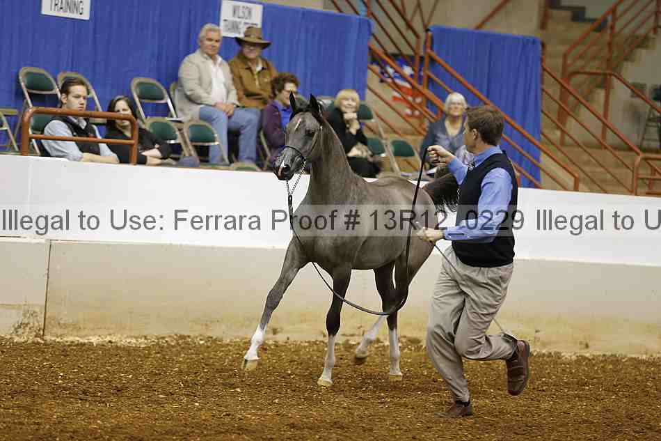 Proof Number 13r12_0229