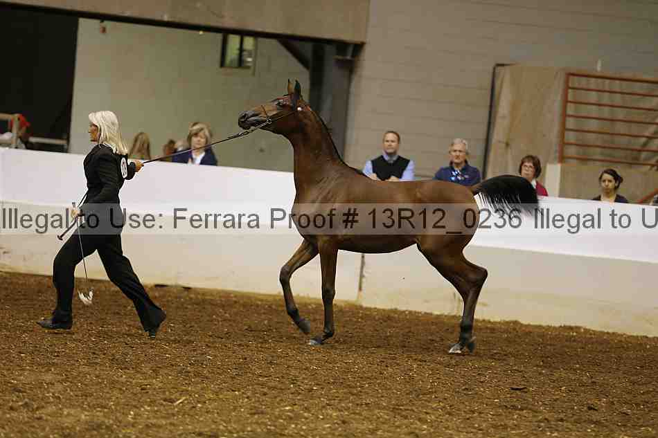 Proof Number 13r12_0236
