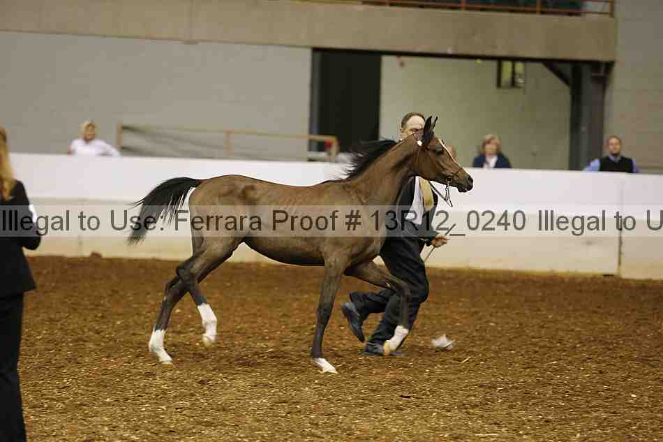 Proof Number 13r12_0240