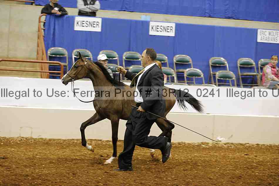 Proof Number 13r12_0241