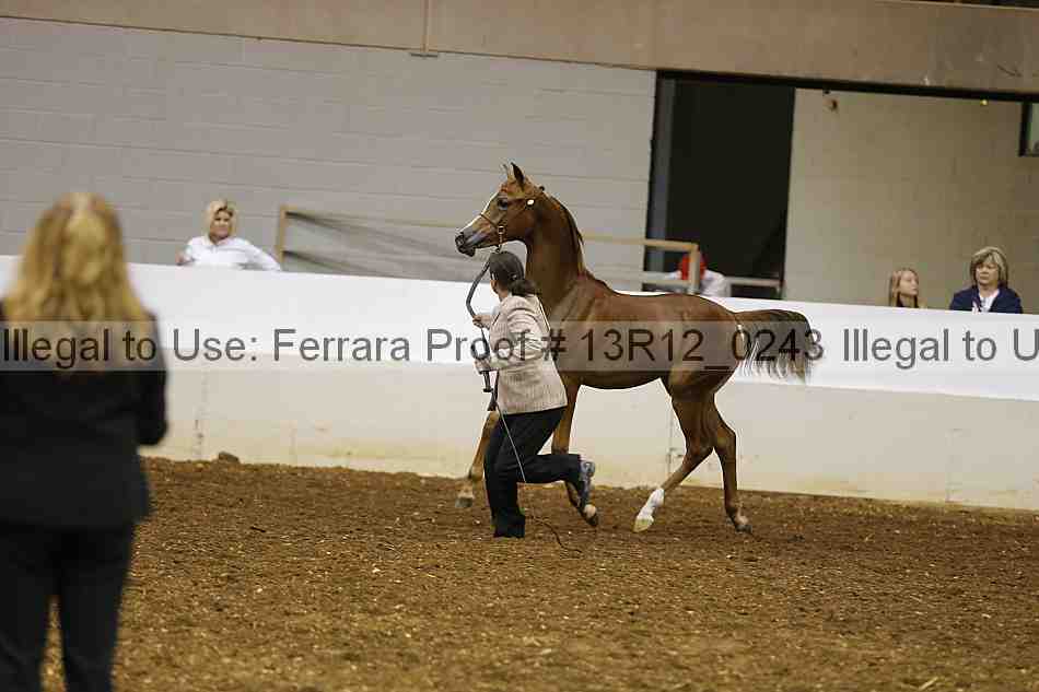 Proof Number 13r12_0243