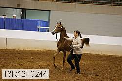 13r12_0244 thumbnail