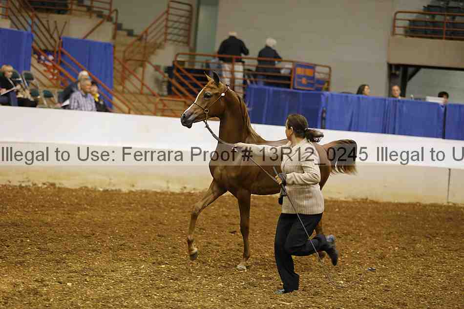 Proof Number 13r12_0245