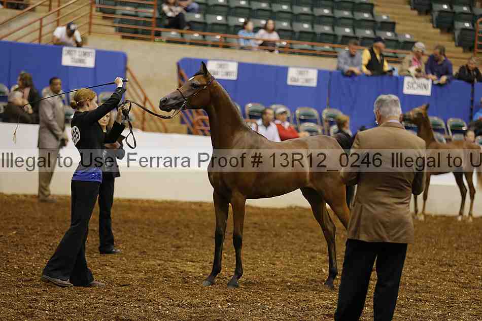 Proof Number 13r12_0246