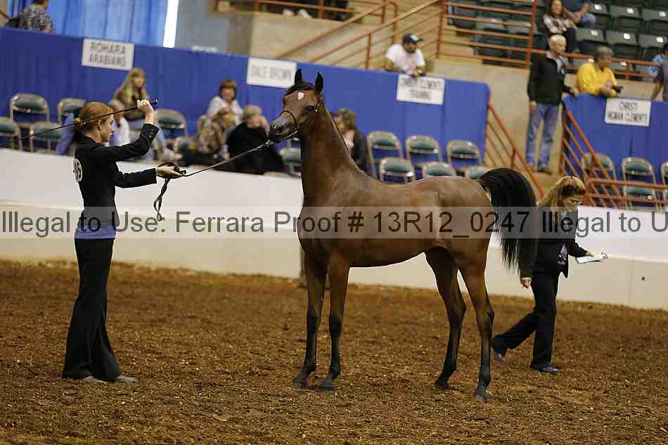 Proof Number 13r12_0247