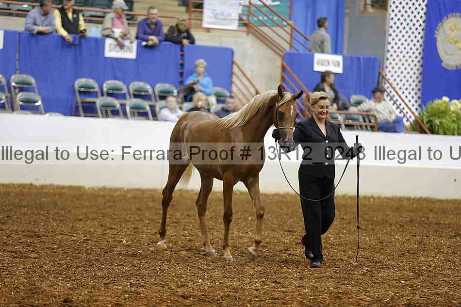 Proof Number 13r12_0248