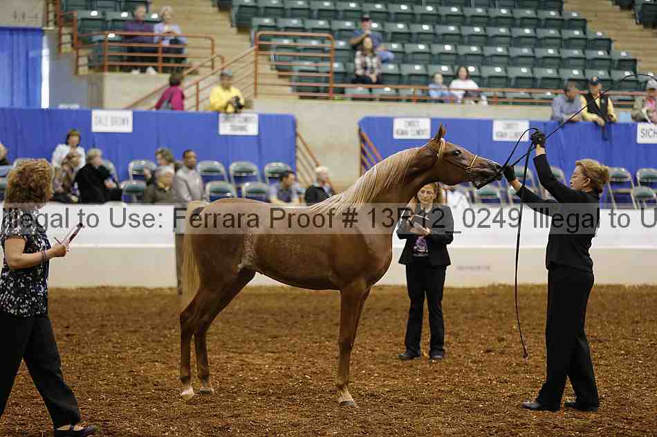 Proof Number 13r12_0249