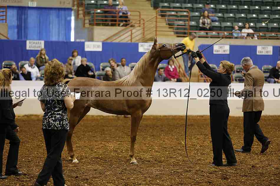 Proof Number 13r12_0250