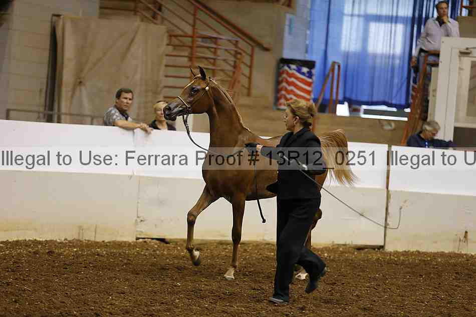 Proof Number 13r12_0251