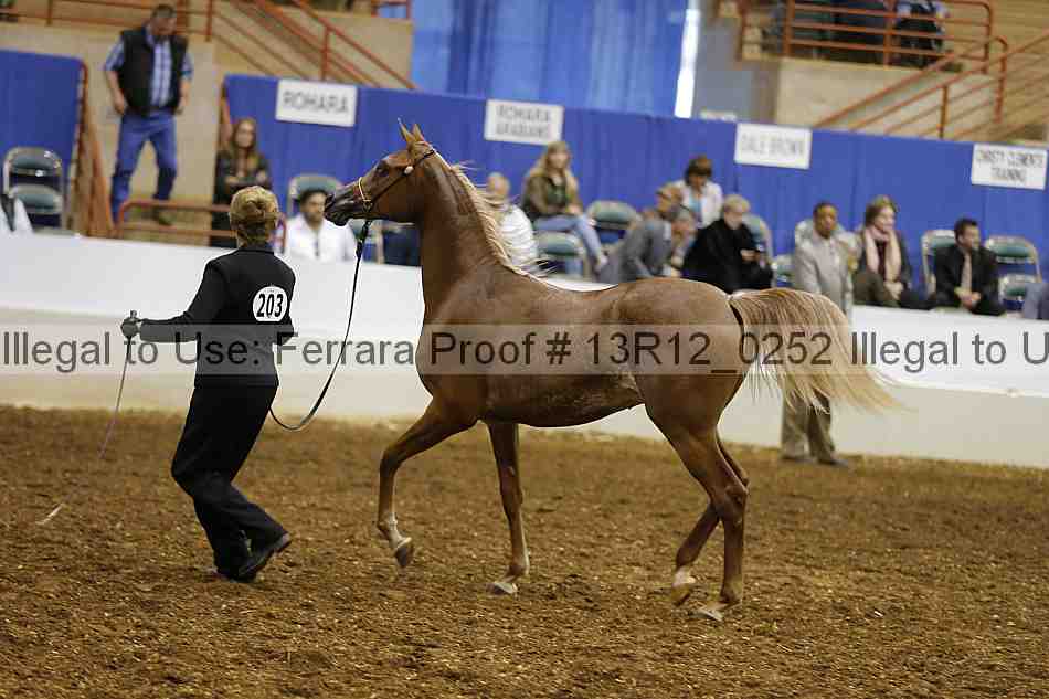 Proof Number 13r12_0252