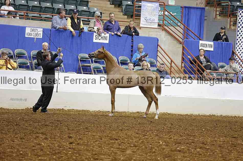 Proof Number 13r12_0253