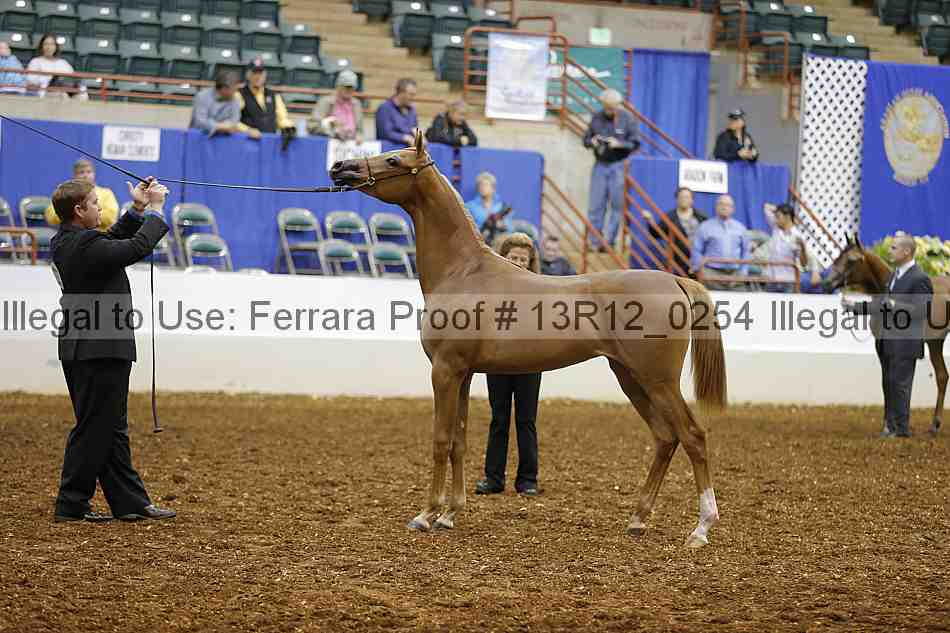 Proof Number 13r12_0254
