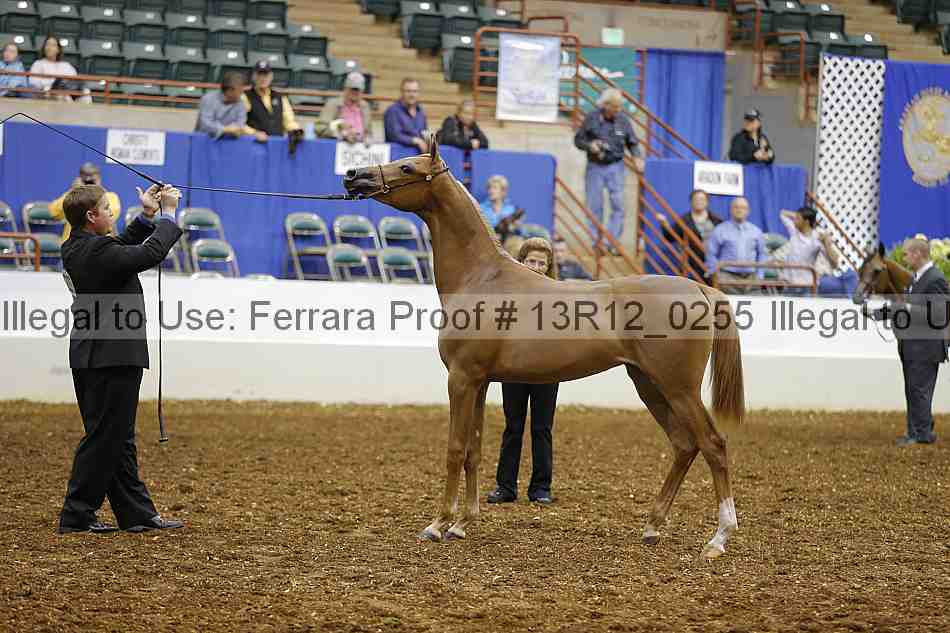 Proof Number 13r12_0255
