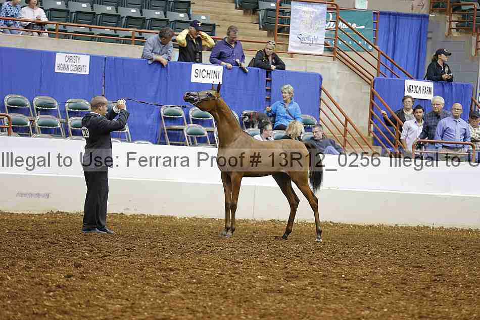Proof Number 13r12_0256