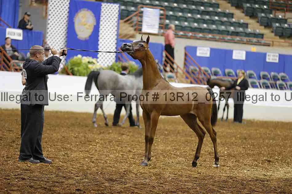 Proof Number 13r12_0257