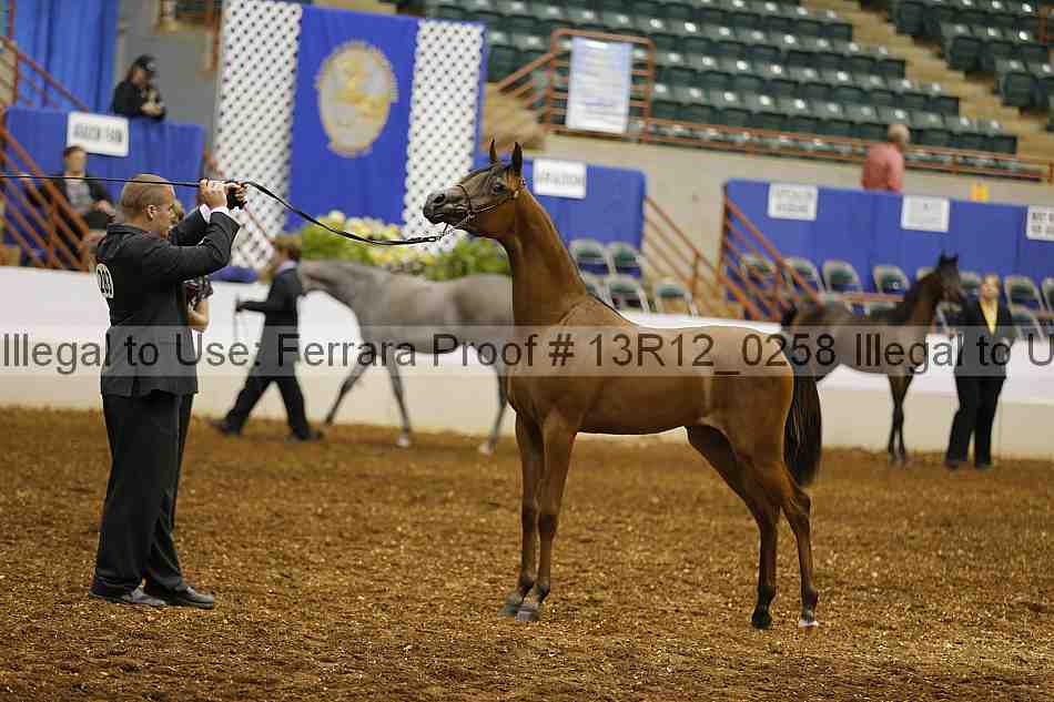 Proof Number 13r12_0258