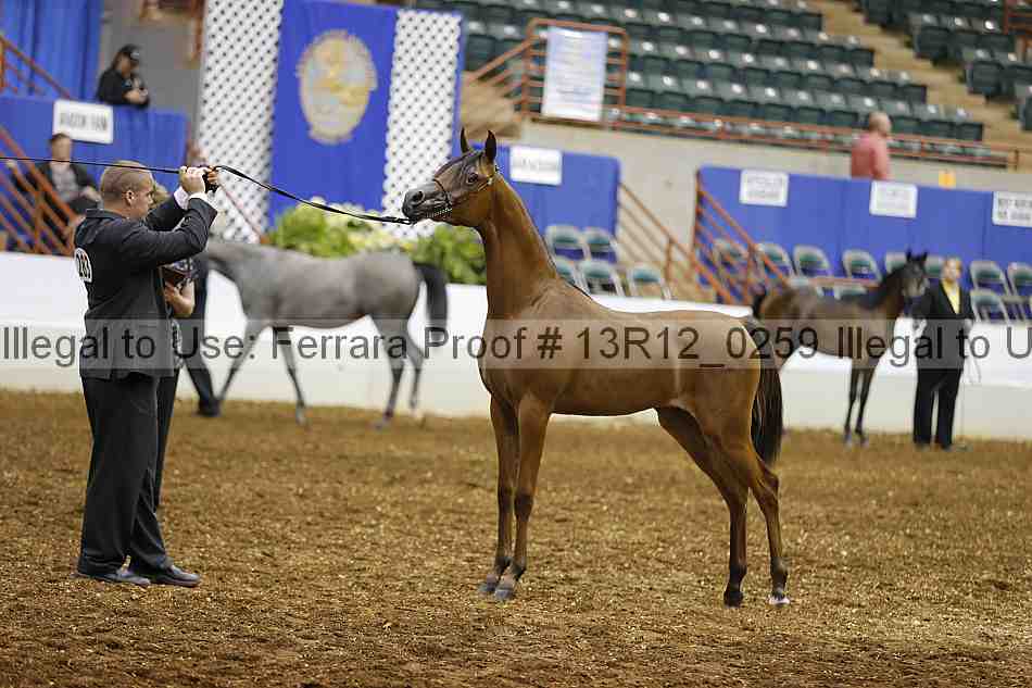 Proof Number 13r12_0259