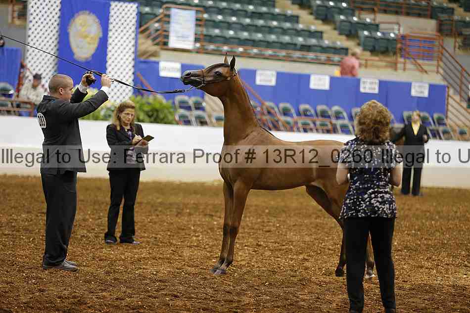 Proof Number 13r12_0260