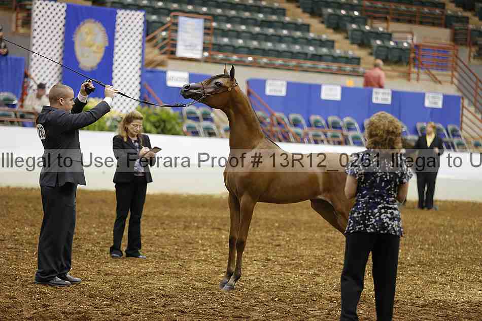 Proof Number 13r12_0261