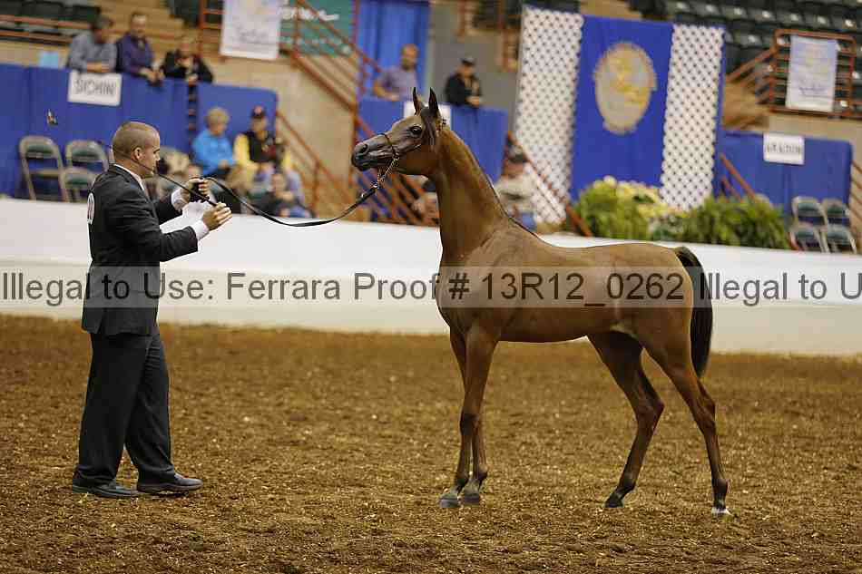 Proof Number 13r12_0262