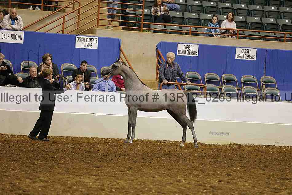 Proof Number 13r12_0263