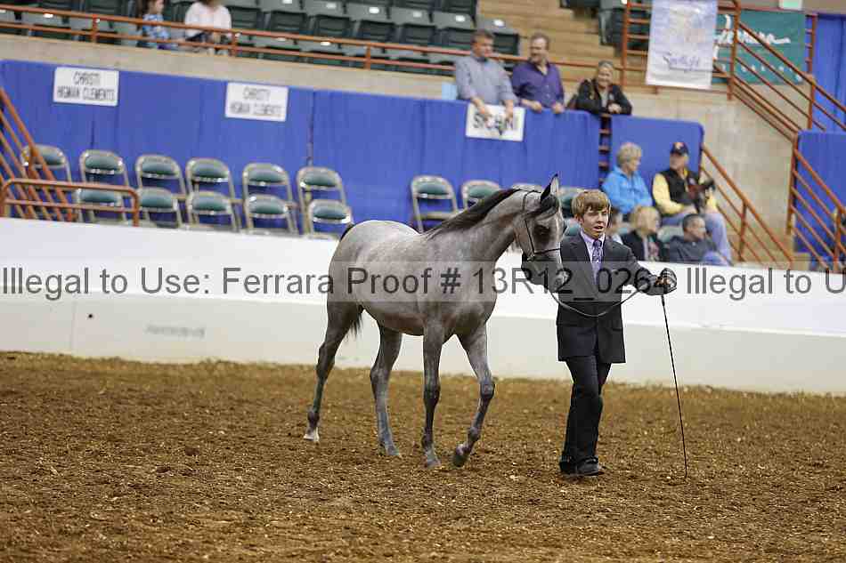 Proof Number 13r12_0264