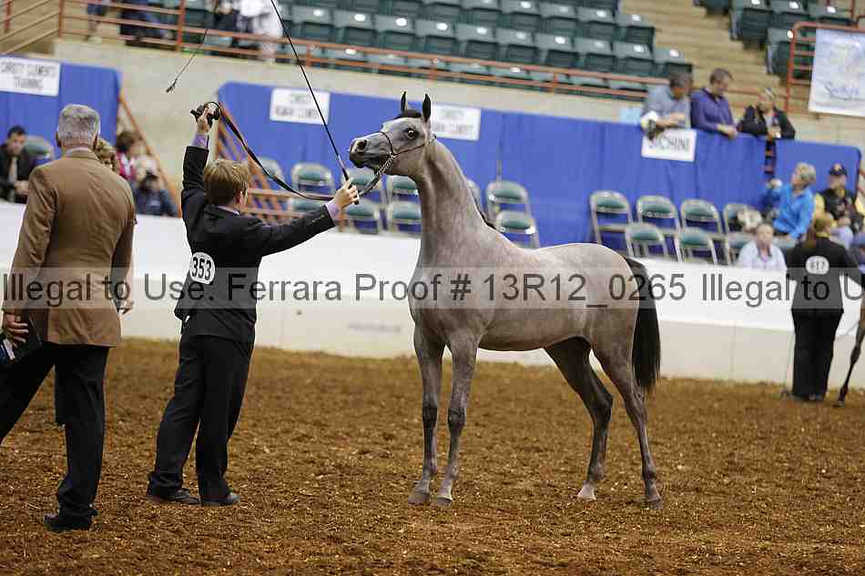 Proof Number 13r12_0265