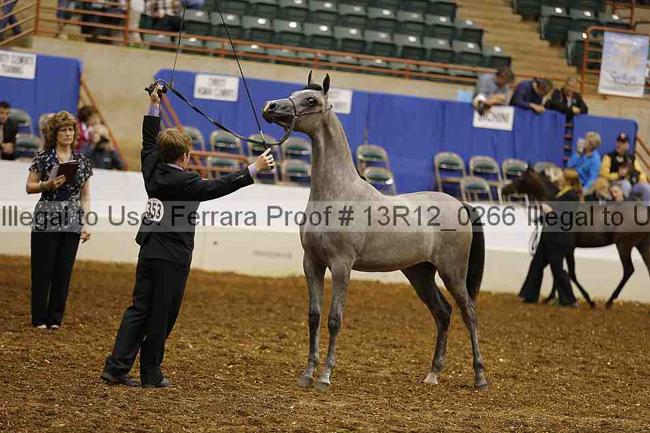 Proof Number 13r12_0266