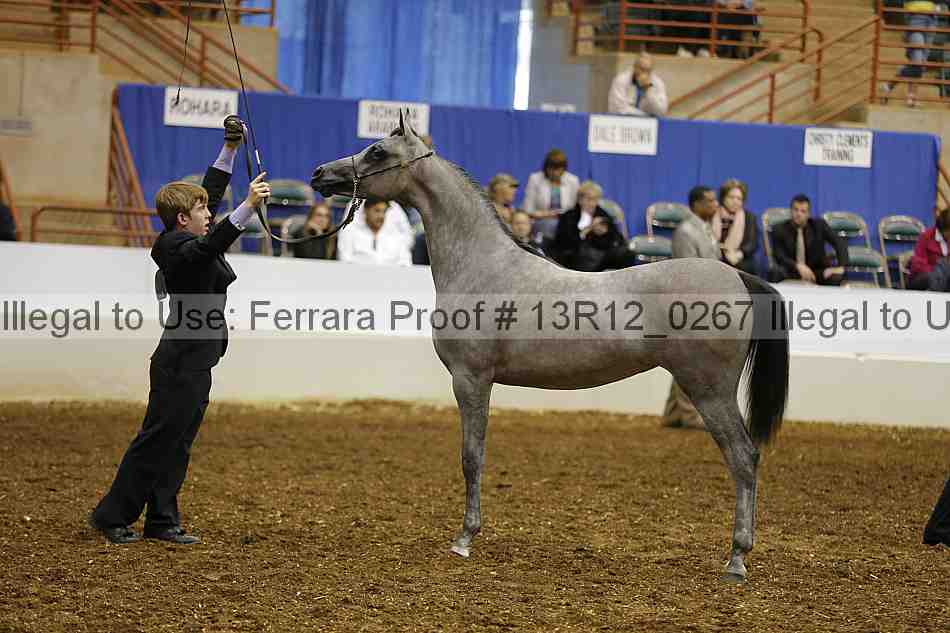 Proof Number 13r12_0267