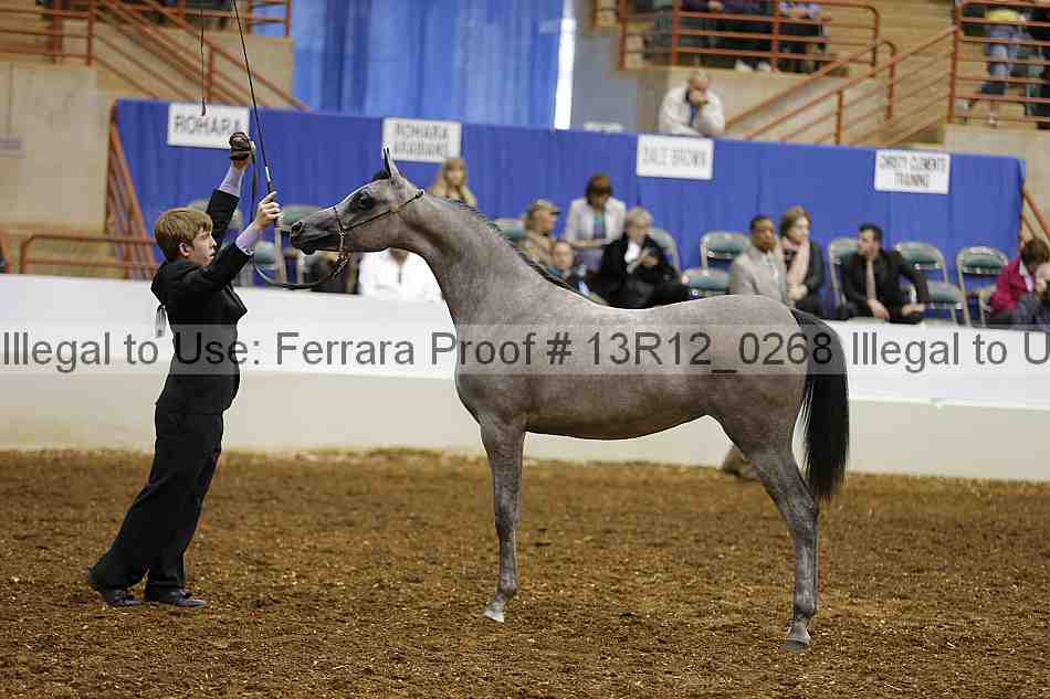 Proof Number 13r12_0268