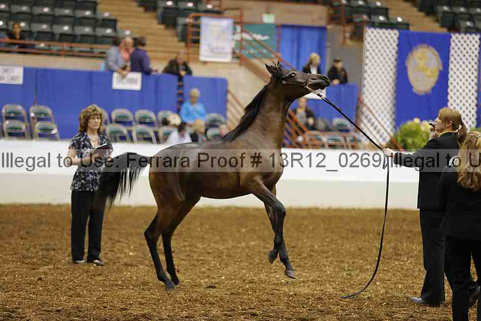 Proof Number 13r12_0269