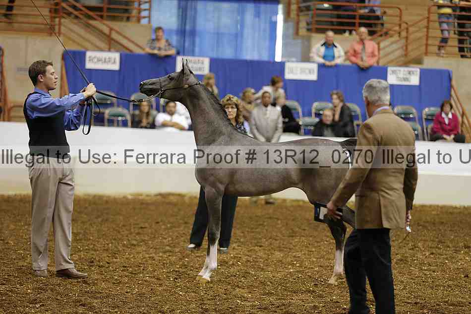 Proof Number 13r12_0270