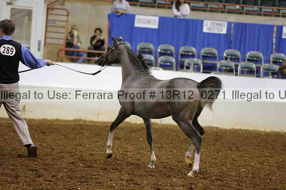 Proof Number 13r12_0271