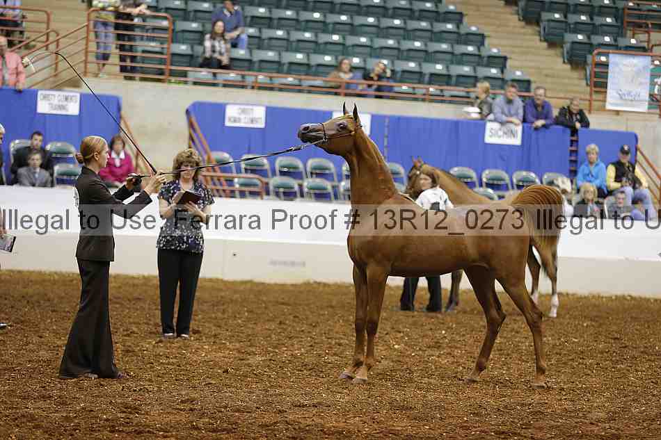 Proof Number 13r12_0273