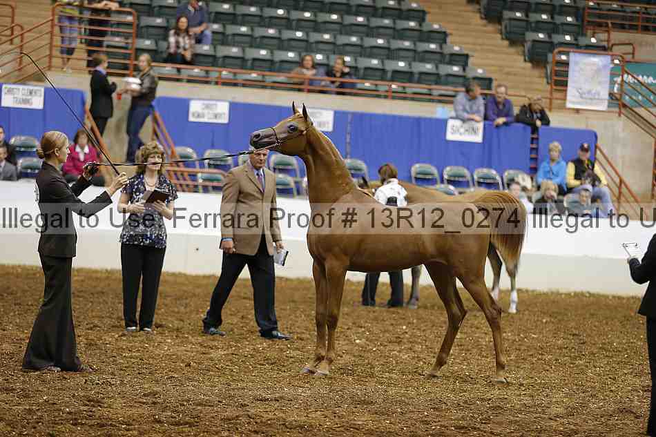 Proof Number 13r12_0274