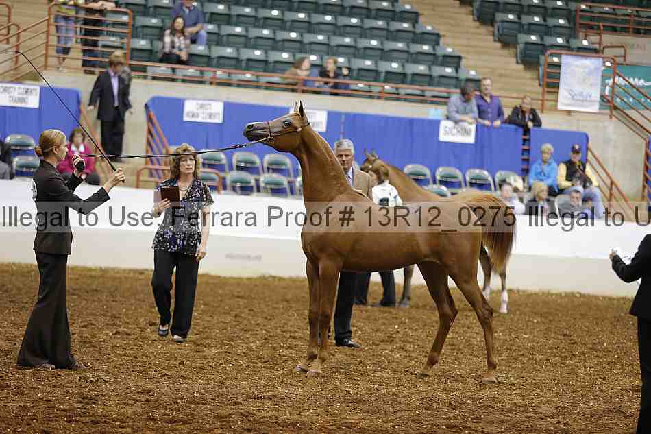 Proof Number 13r12_0275