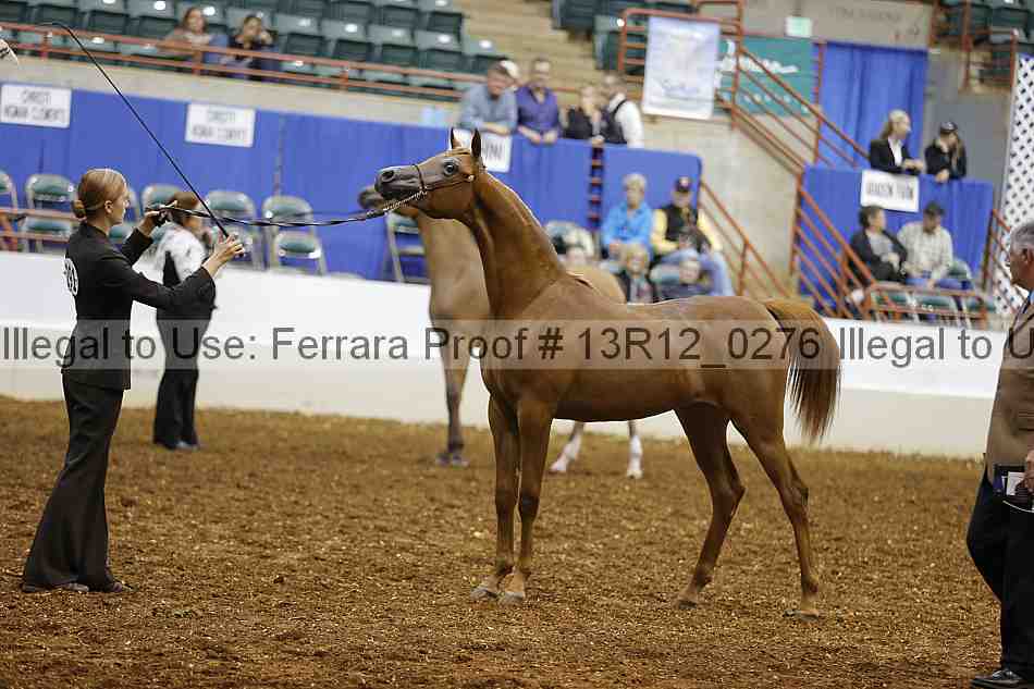 Proof Number 13r12_0276