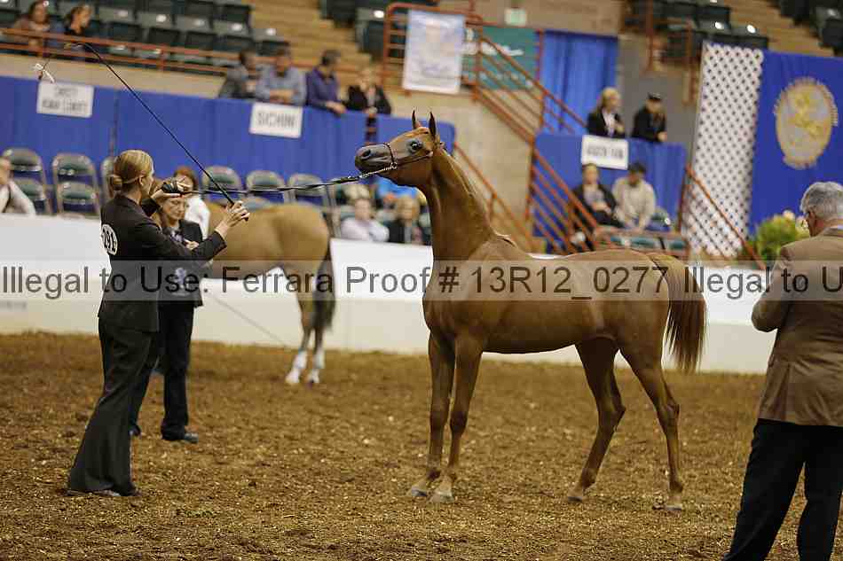 Proof Number 13r12_0277