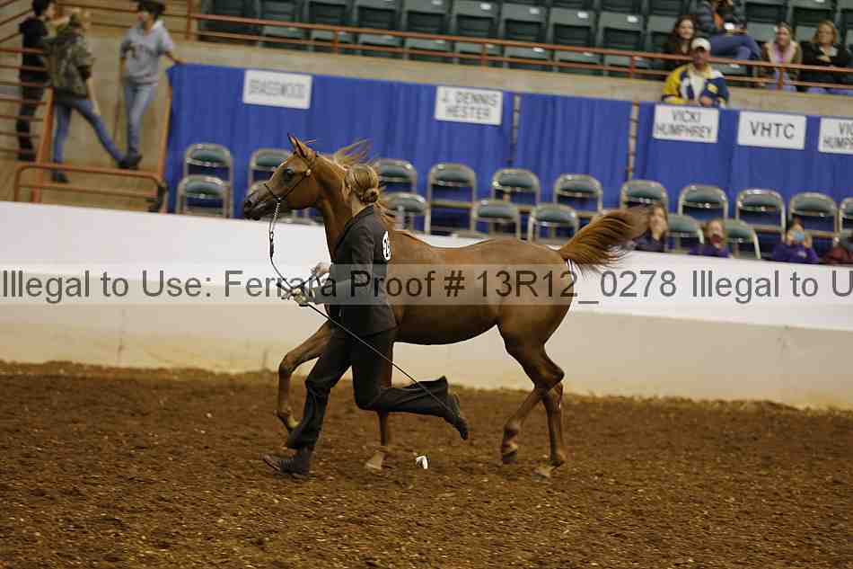Proof Number 13r12_0278