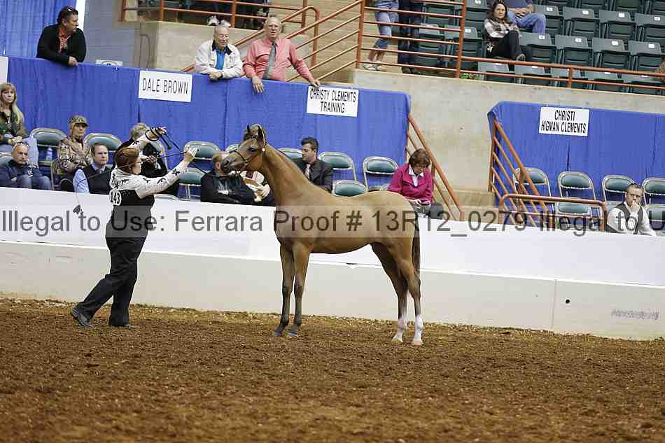 Proof Number 13r12_0279