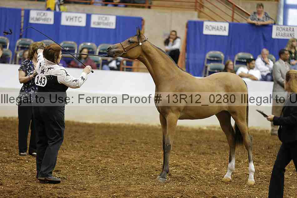 Proof Number 13r12_0280