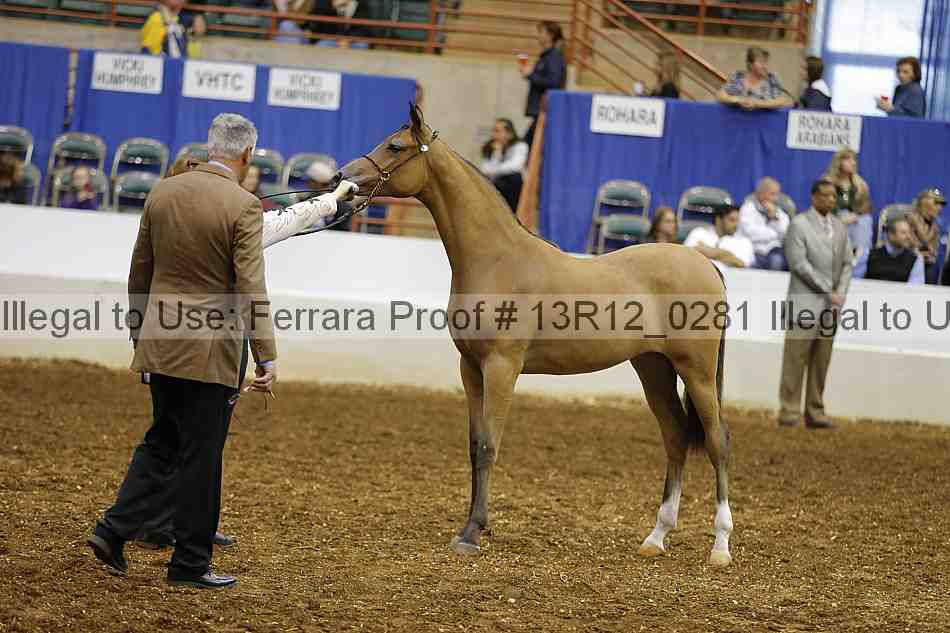 Proof Number 13r12_0281