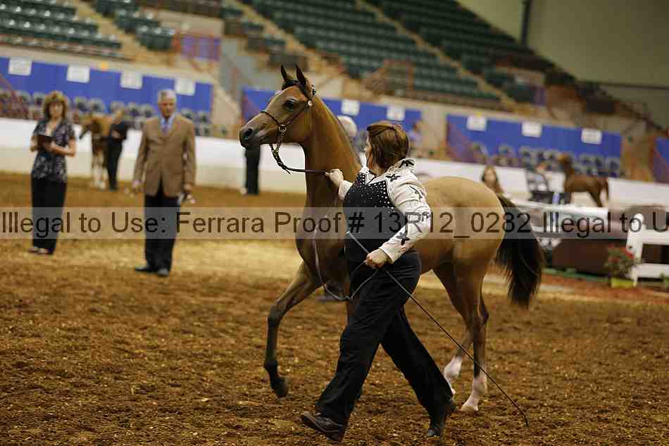Proof Number 13r12_0282